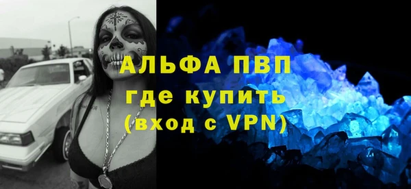 гашик Каменногорск