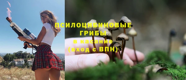 бошки Каменка