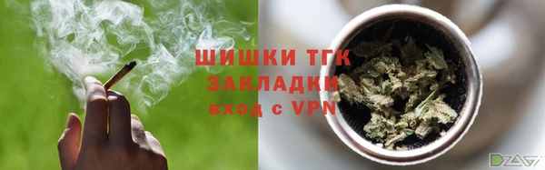 гашик Каменногорск