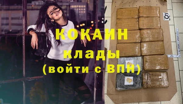 бошки Каменка
