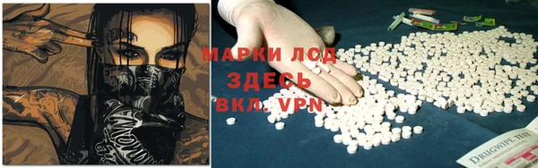 гашик Каменногорск