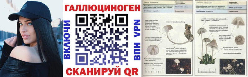 Псилоцибиновые грибы GOLDEN TEACHER  Кызыл 