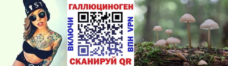 Псилоцибиновые грибы мицелий Кызыл