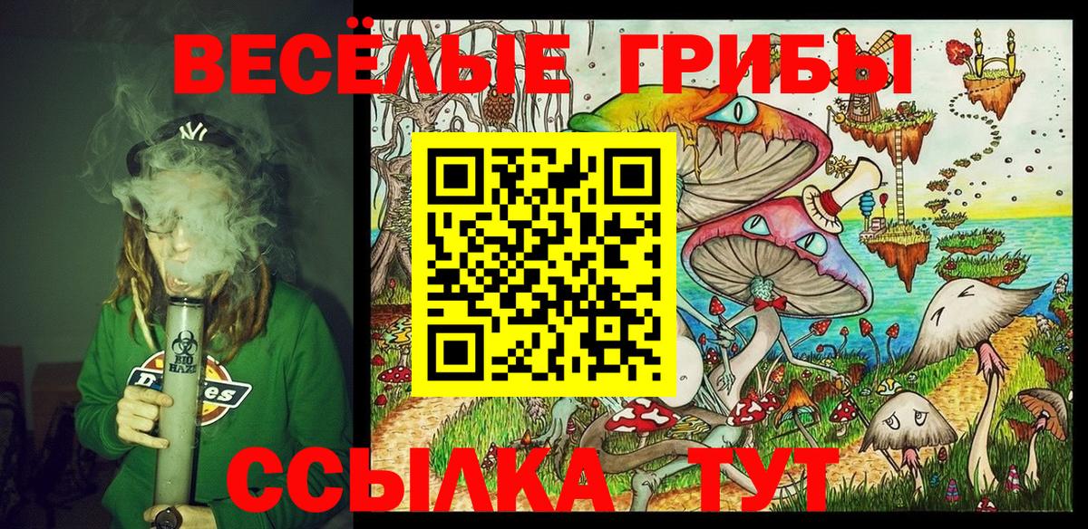 Кызыл  Псилоцибиновые грибы Psilocybe  Псилоцибиновые грибы мицелий  Вход с VPN 